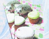 set of 2 "Katniss: More Frosting, Please" Postcards