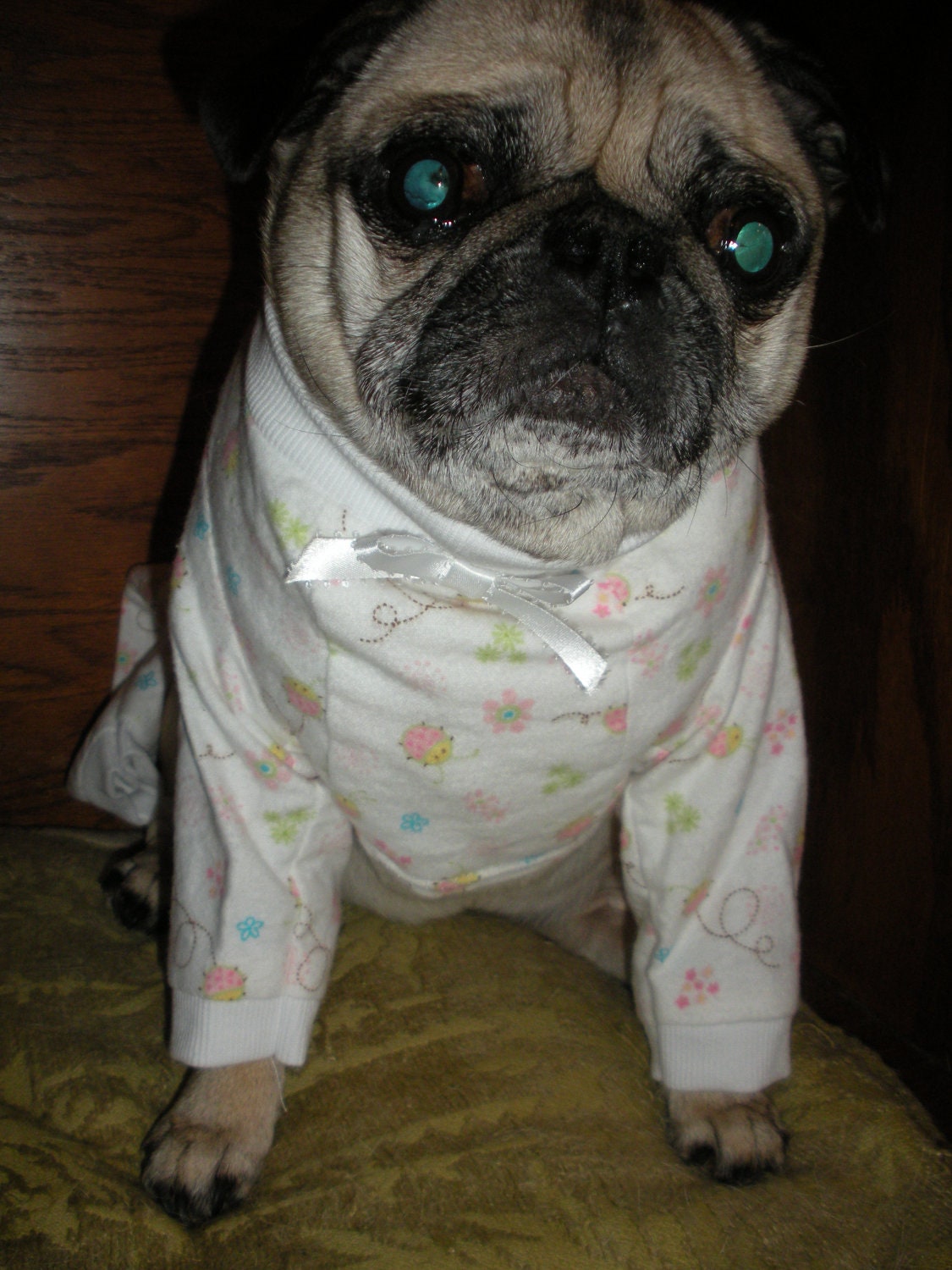 Pug or Small Dog One Piece Flannel Pajamas