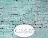 Vinyl Photography Backdrop 4ft x 4ft, Photo Backdrop Old Antique Brick Wall, newborn photo prop, Photography Prop,  "Temple Run"