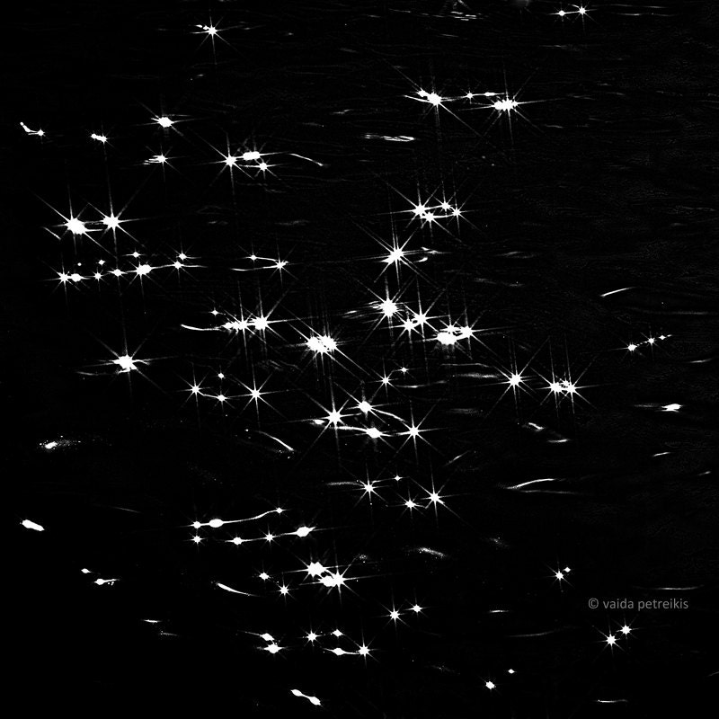 From the series "Nature Graphics": "As If It Was a Starry Night" - Original Signed Fine Art Photography Print 6x6 inches (15x15 cm) - VaidaPhoto