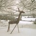 Single willow reindeer decoration or cake topper