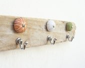Sea Urchin Towel Holder, Jewelry Organizer Rack, Driftwood, Sea Urchin, Beach Home Decor
