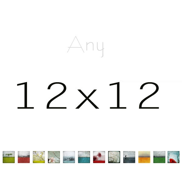 12x12 Your choice - Any Photography Print