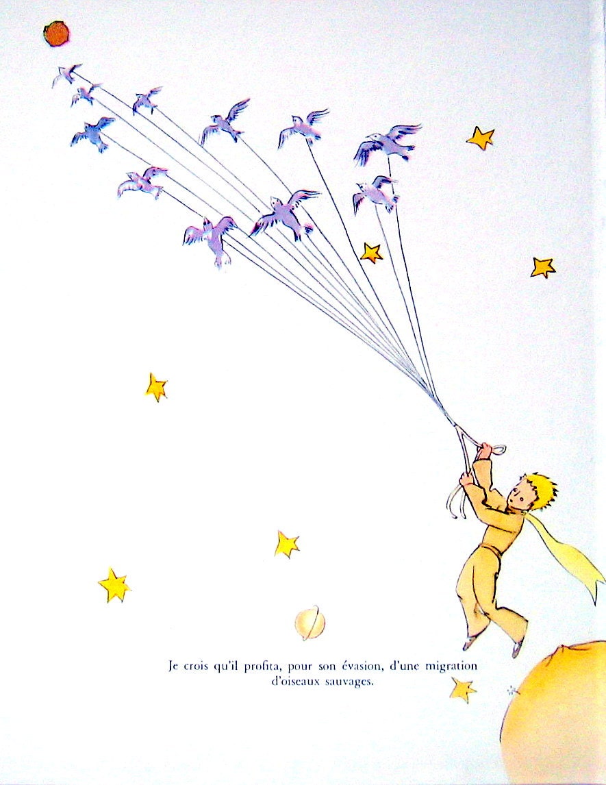 Resultado de imagen para le petit prince illustrations