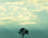 Nature Photograph, Minimalist, Tree Photo, Teal, Landscape Picture, Sky, Clouds, Silhouette, Black, Blue, White -11x14 inch Print-One Tree