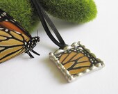 Real Monarch Butterfly Wing Necklace