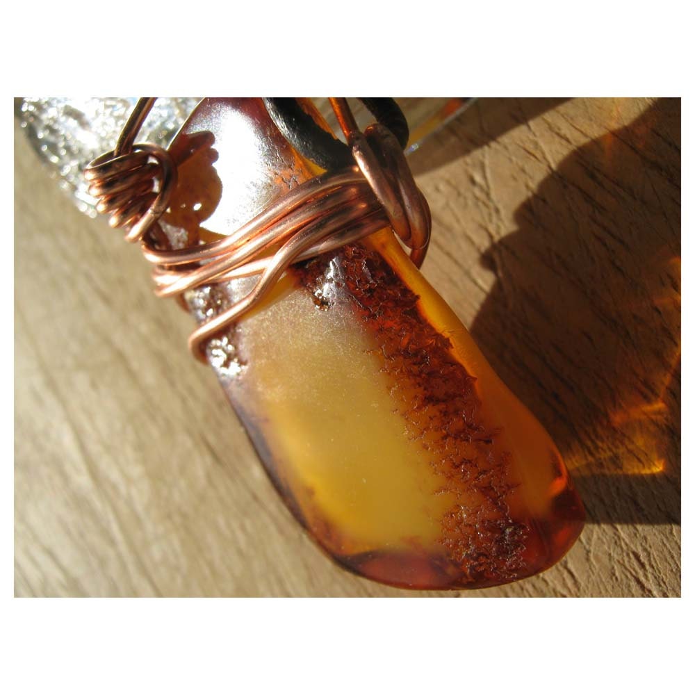Natural - BALTIC AMBER - Encapsulated Wing