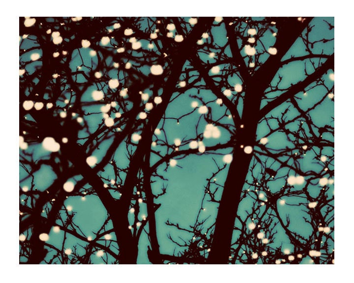 Tree Lights Photo, Night Lights, 8x10 Print, Teal Green, Starry Night Sky, Bare Branches, Winter