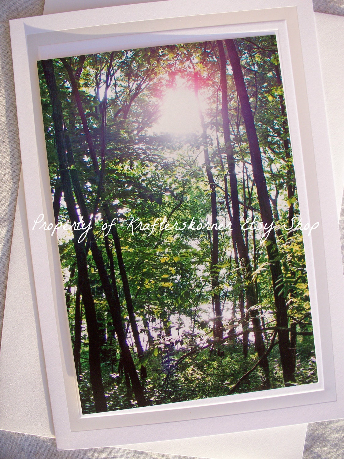 Photo Card Sunrise Through the Woods