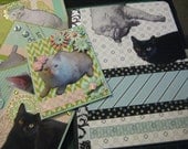 Your Pet, Collaged. Full Gift Set: One Notebook and 5 Cards Featuring Your Cat, Dog, or Other Pet