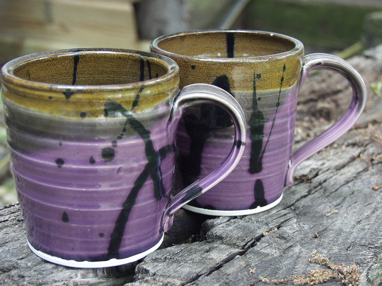 Mugs Coffee Tea Hot Chocolate Mug Set of 2 Plumy Lemongrass Ready to Ship