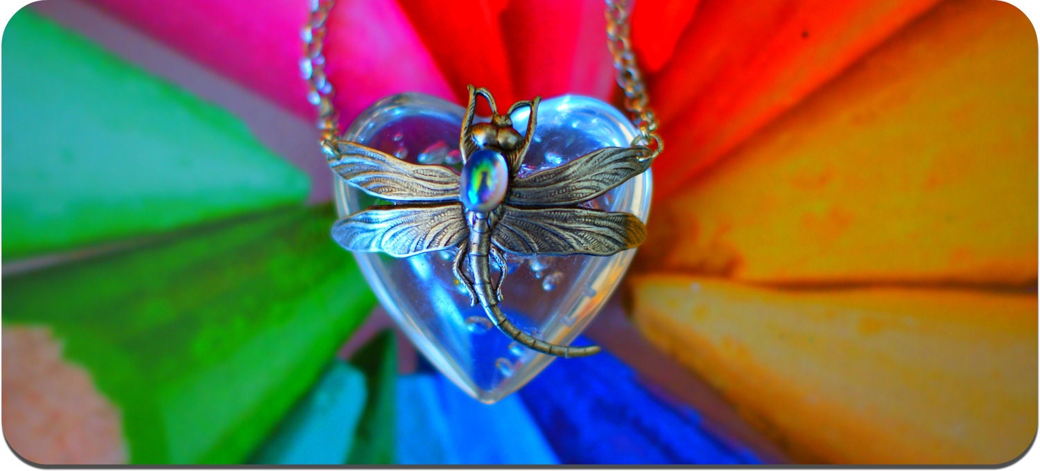 Silver Dragonfly Necklace - Air Bubbles Heart