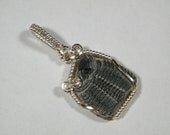 Wire wrapped natural Trilobite tail fossil, pendant
