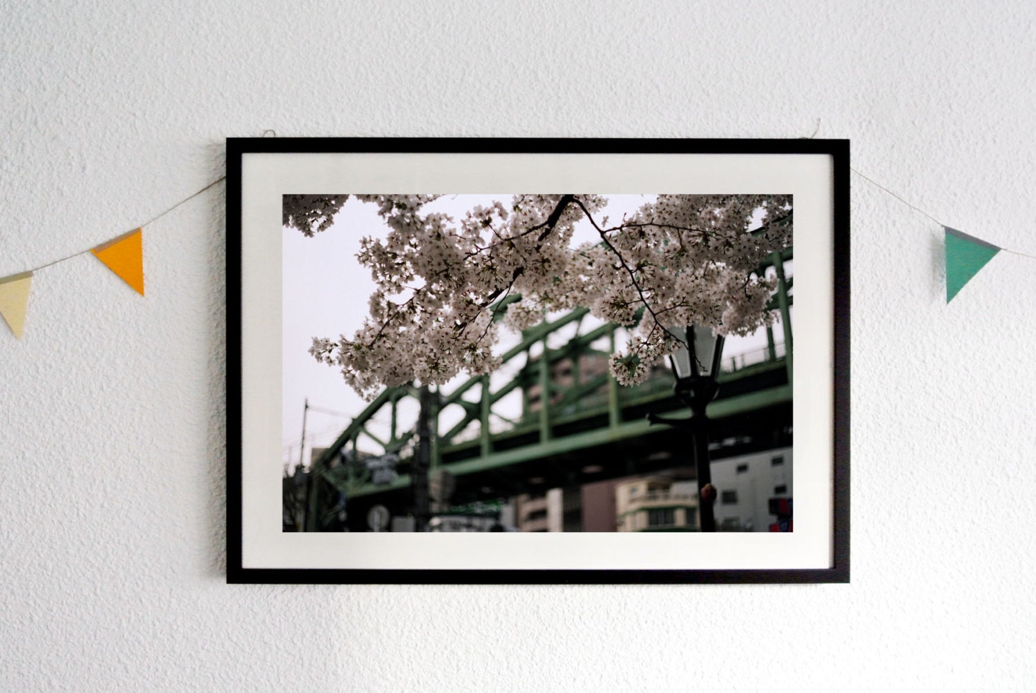 Sakura, photograph print