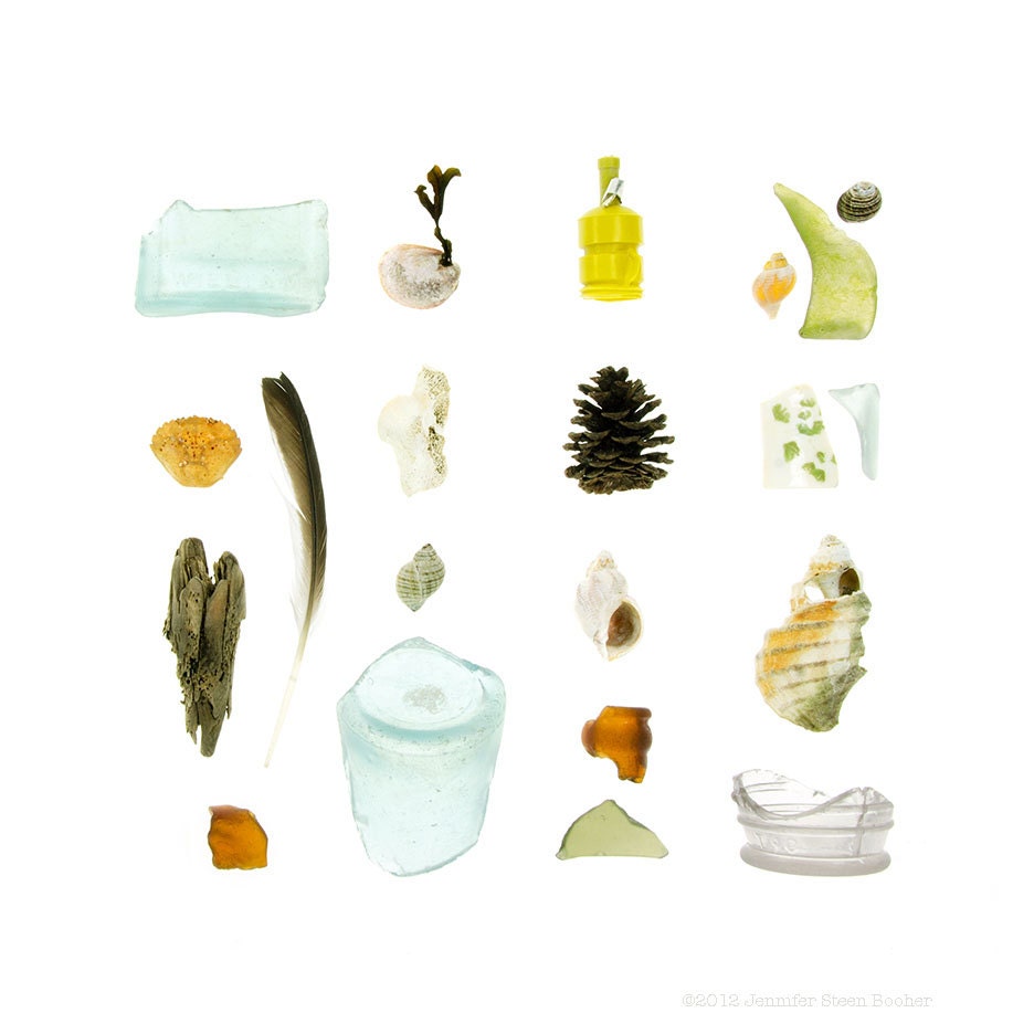 Beachcombing series (No.60) - 8 x 8 photograph - sea glass, driftwood, shells