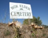 Country Cemetery - Fine Art Photograph - Nebraska Art