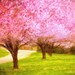 Ready to hang wood panel - nature photography - home decor - nursery art - pink cherry trees - wood panel wall art - 11x14 - Ready To Hang