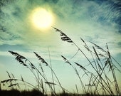 Memorial Day Sale beach photography 8x10