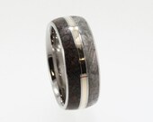 Meteorite Wedding Band / Titanium Ring inlaid with Meteorite Dinosaur Bone and 14K Yellow Gold