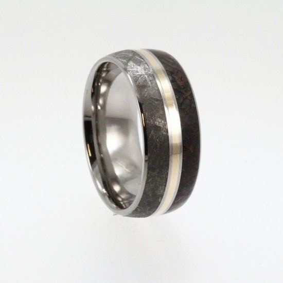 Meteorite Wedding Band / Titanium Ring inlaid with Meteorite Dinosaur Bone and 14K Yellow Gold