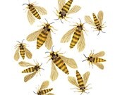 Hornet Moths bees giclee art print reproduction watercolor