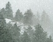 Winter Photos -Forest Pictures -Mountain Landscape -Winter Photography -Square Print -Colorado Fine Art Photography -10x10 Print