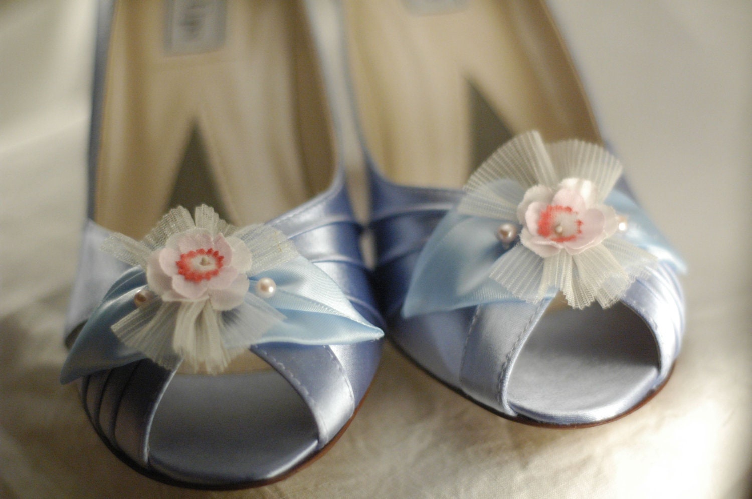 Marie Antoinette Blue and Pink Tea Party Shoes