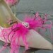 Wedding Bridal Party Peacock  Pink Ostrich Feather Shoe Clips Set Of Two 8 Center Rhinestones To Choose From