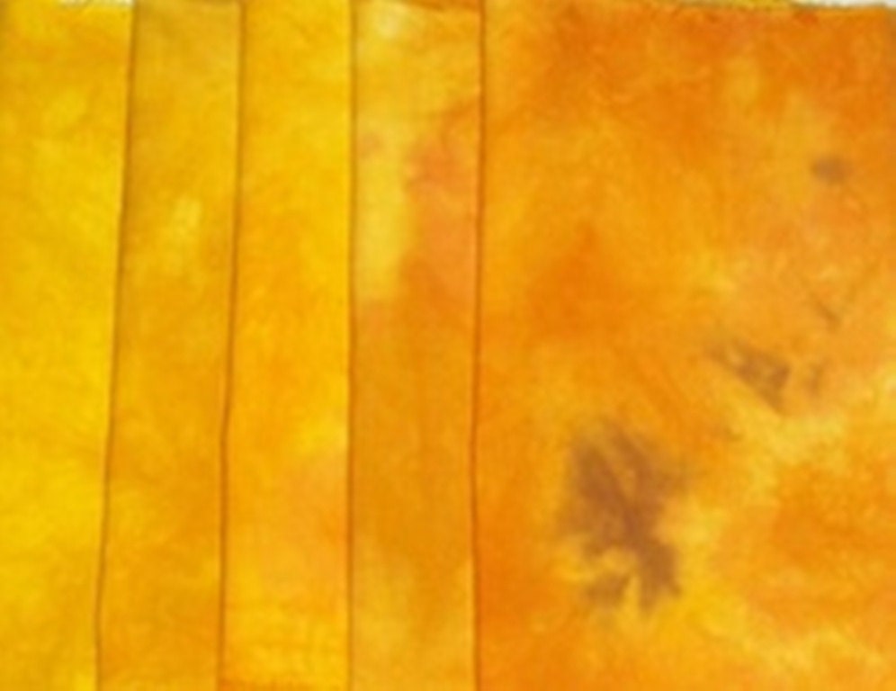 Autumn in the Ozarks Hand Dyed Fabric Collection 1