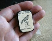 Starling - A Pinback Button - Made from a Vintage Dictionary Page - One-Of-A-Kind