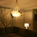 Multi Bulb Hanging Light Fixture - Globes