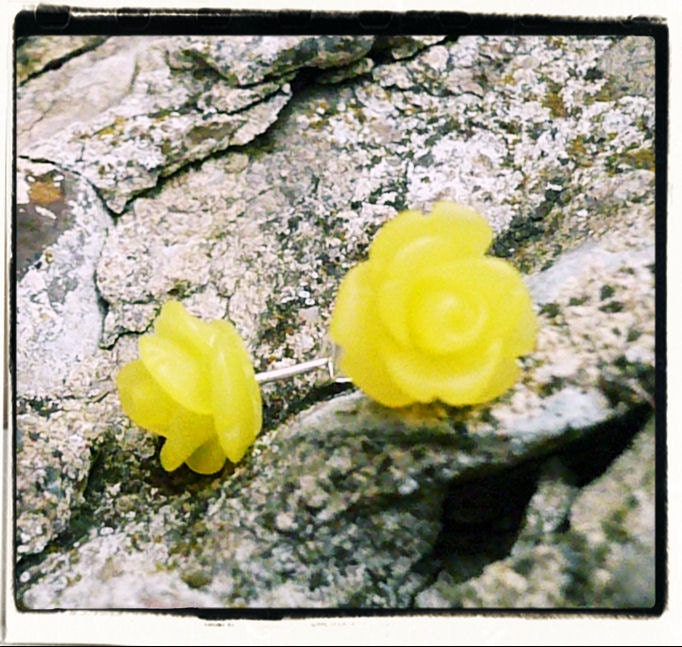 NEW Lil Frosted Sunshine Rose Flower Stud Earrings