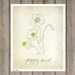 Poppyseed - art print