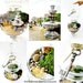 SALE Giant Sized Terrarium Table Centerpiece - Apothecary Jar Secret Garden Scene & Miniature Water Fountain: Extra Large Plant Terrarium