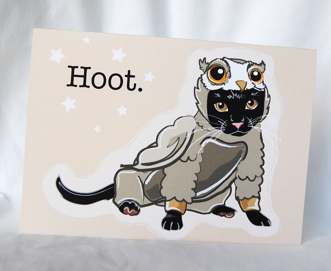 Lil Owl Cat Greeting Card