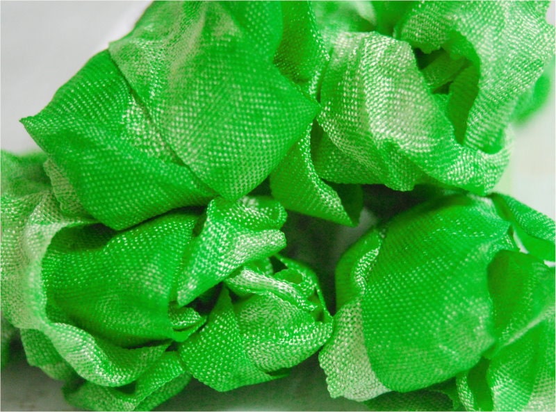 Crinkled Ribbon- Witches Wart
