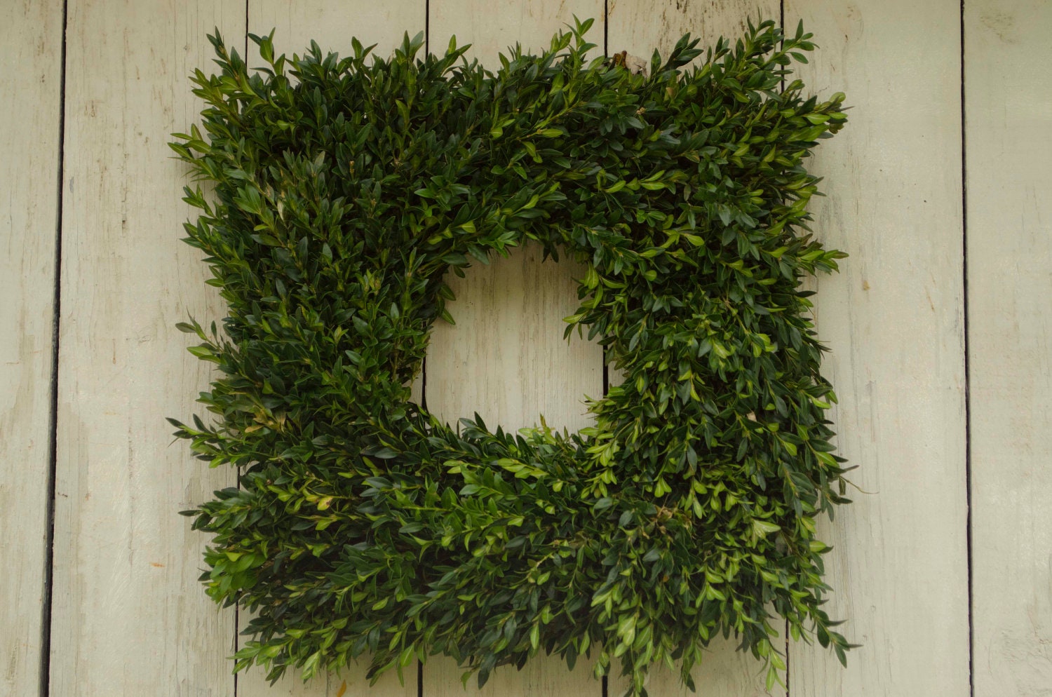 Fresh 20"Square Boxwood Wreath, Large, Spring Wreath,  Easter Wreath,  door wreath, Spring decor, greenery wreath, 20 inch wreath,  green