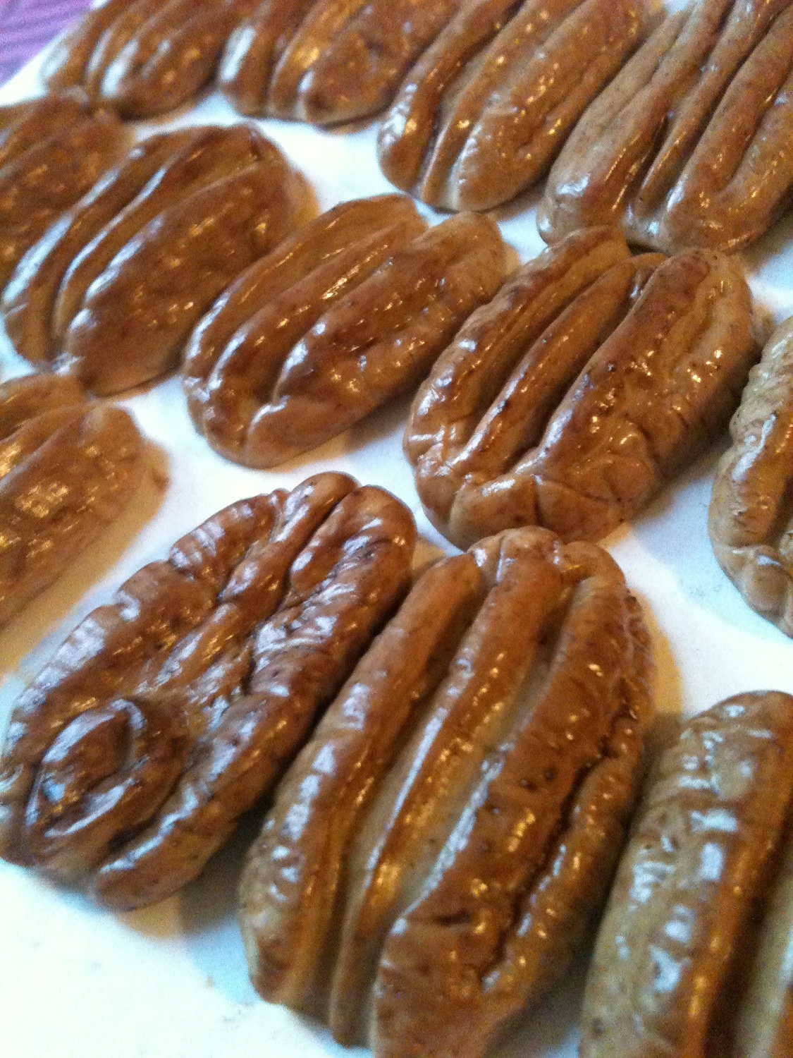 Food magnets three piece set  coktoberfest Pecan Nuts Free shipping to USA