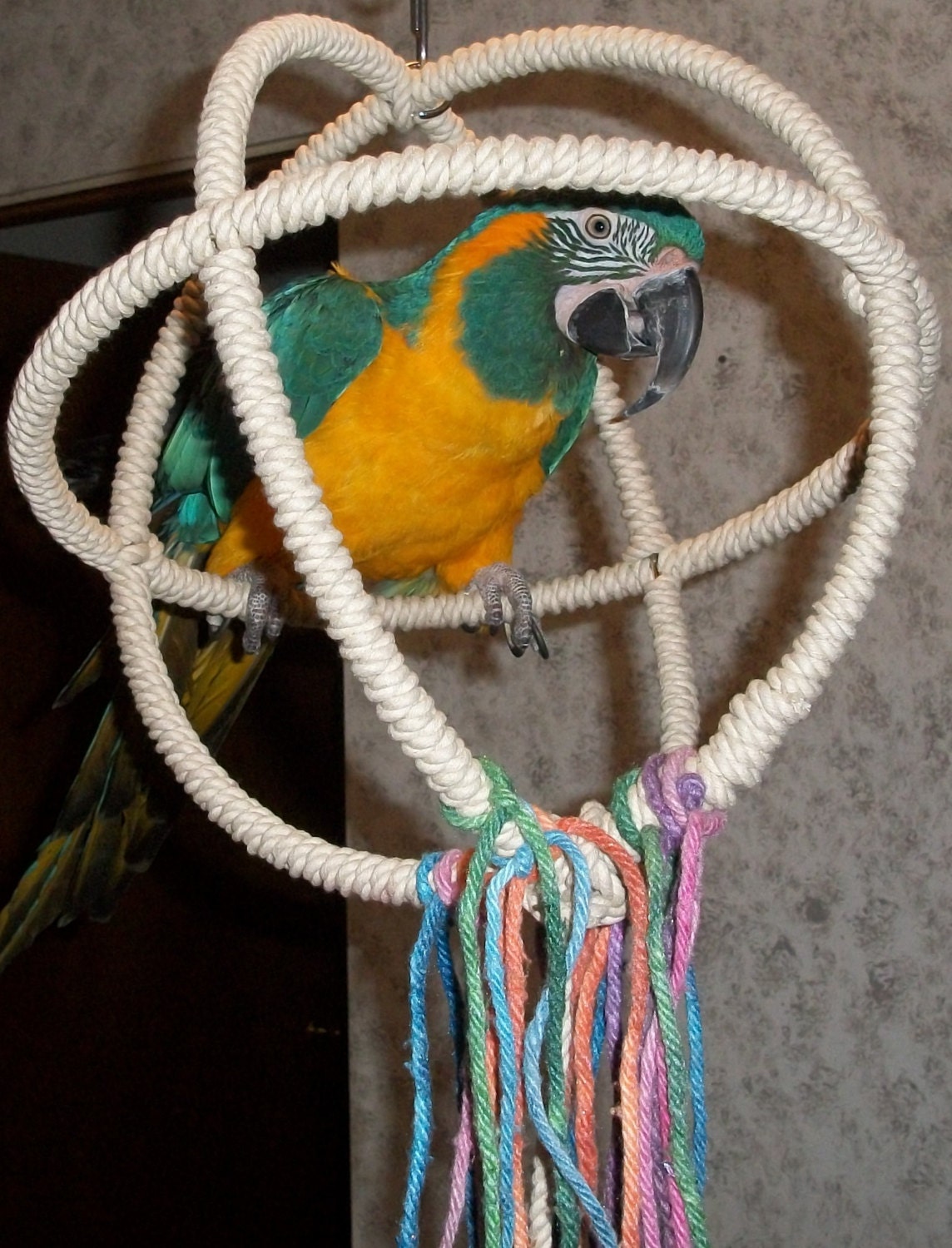 Extra Large 3 Ring Parrot Orbit Swing