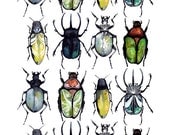 Stop bugging me,  30x40 cm (12x15,7 inch)