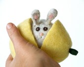 Gray Pumpkin Bunny in an Yellow Squash, Halloween Thanksgiving Toy, Waldorf Inspired, Needle Felted Wool, Autumn Fall