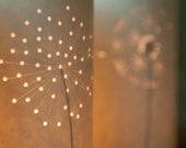 Seed Head Candle Light