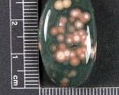 Ocean Jasper Cabochon Hand Cut JO226