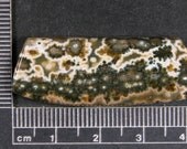 Ocean Jasper Cabochon Hand Cut JO229
