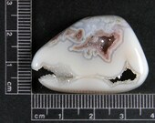 Ocean Jasper Cabochon Hand Cut  Tyrannosaurus Rex JO238