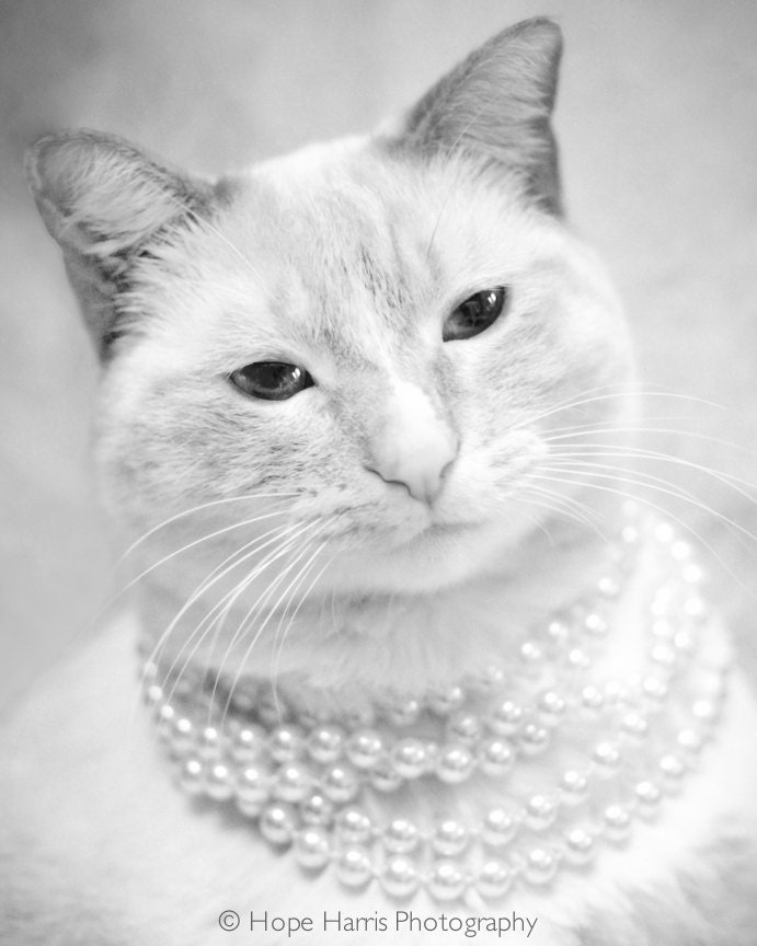 Bob in Pearls