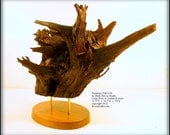 Natural Wood Sculpture No. 2012-02, Ships Immediately, Historic Kansas Cedar Root Ball Walnut, Brass, Mixed Media Original