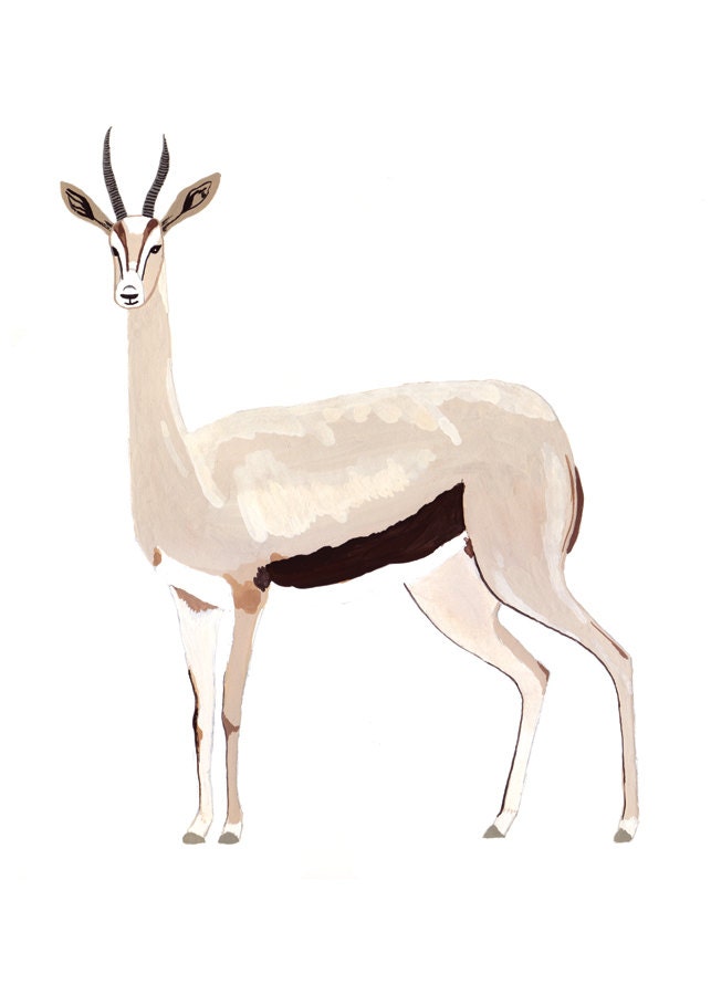 Gazelle 5x7 Print