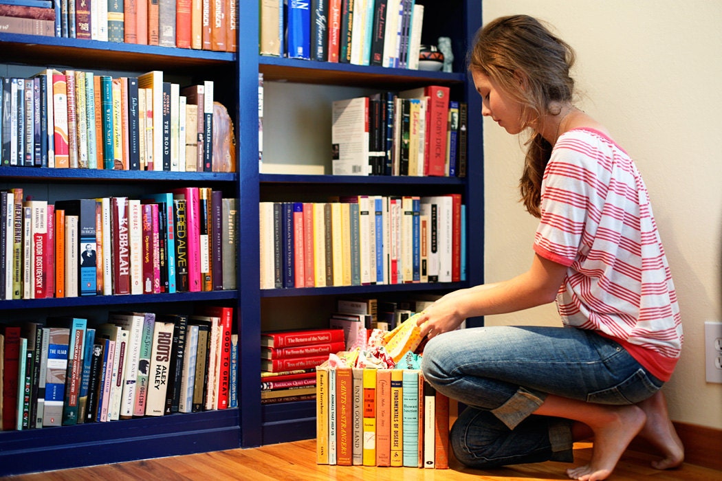 The Original Modern Library Storage Bin, Stylish Storage for your much-loved clutter