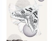 Silk Moth    A4 SIZE
